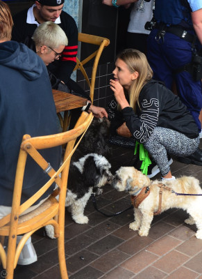17.03 | Justin Bieber é fotografado em Sydney, na Austrália