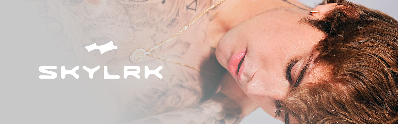 Skylrk